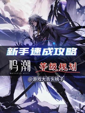 鸣潮新手速成攻略，等级规划篇！