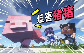 🤣 猪猪：我没惹你们任何人！