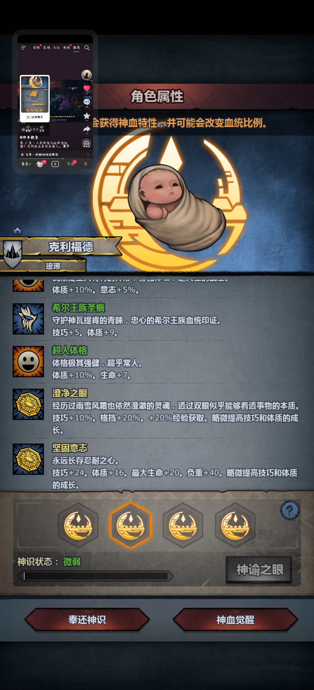 哪个神特组合最好 4