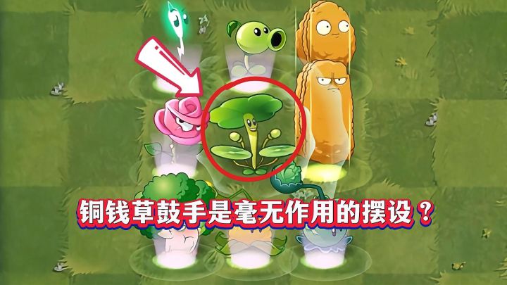 铜钱草鼓手真“废柴”?1-5阶实测!截图