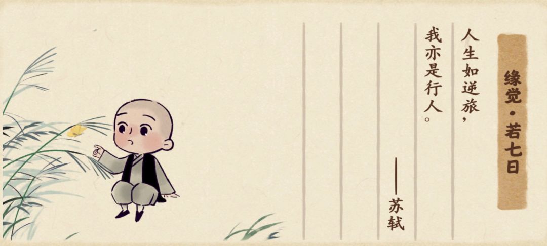 是时候更新美图了 5