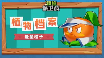 「植物档案」能量橙子