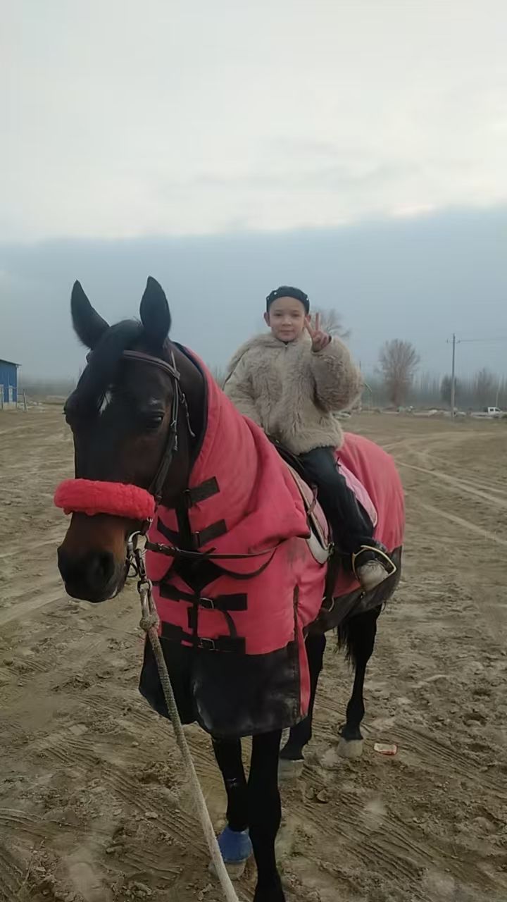 动态图片 11