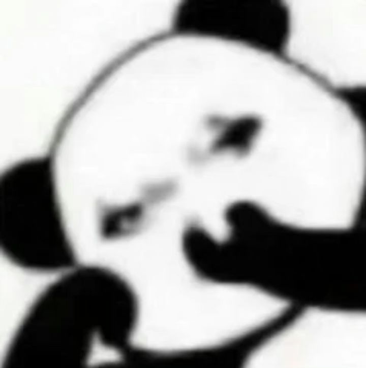 提问截图
