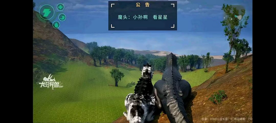 动态图片 11
