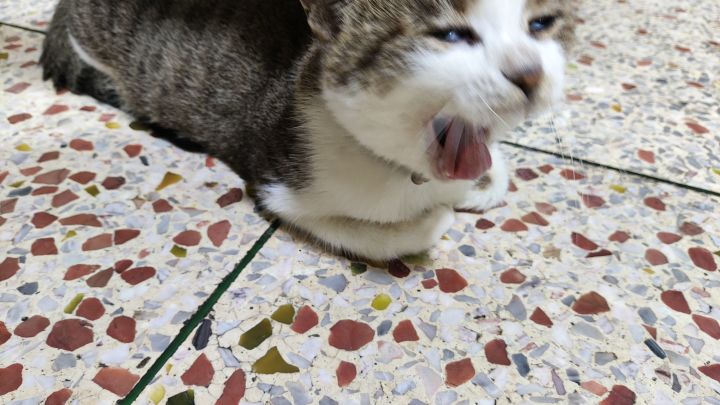 有组队同游还缺人的吗，萌新一枚截图