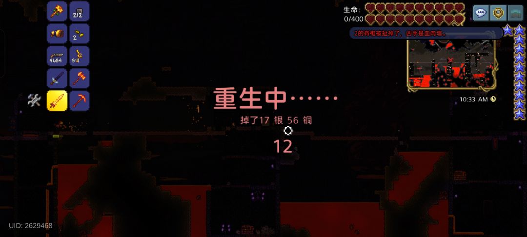 肉山怎么打?难道真的要500个蜜蜂手雷吗? 1