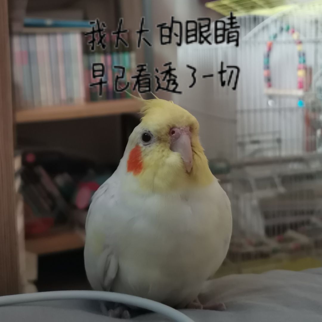 动态图片 2