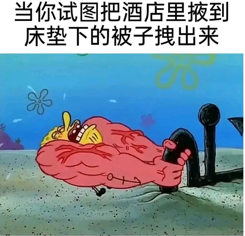 ✨今日份梗图分享第七十三期✨ 2