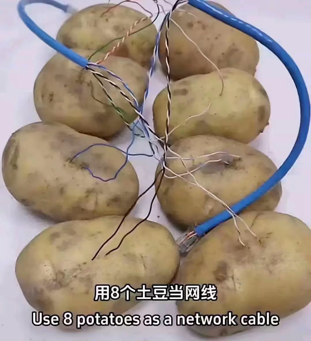 创游世界的服务器 2