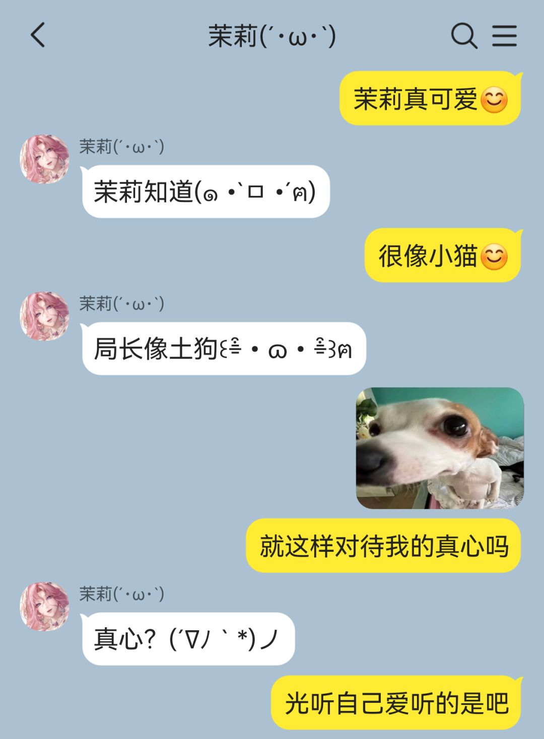 茉莉咪真是太可怕了😋 2