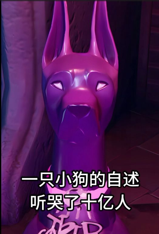 一只小狗的自述,听哭了十亿人截图