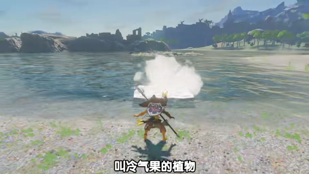 《塞尔达传说：旷野之息》手机版 2