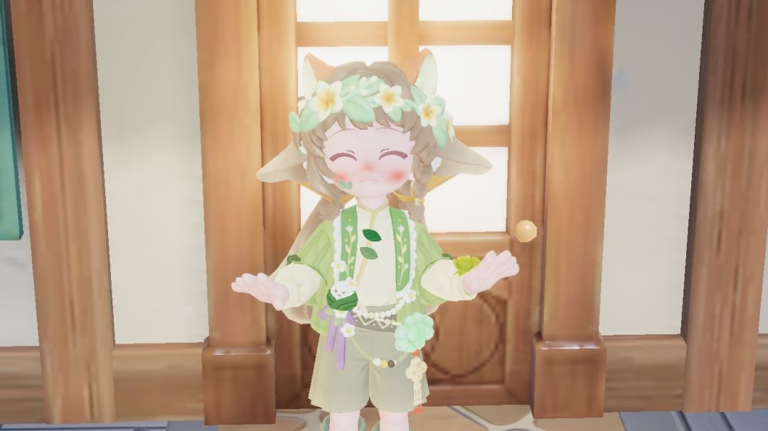 🌿端午节安康 3