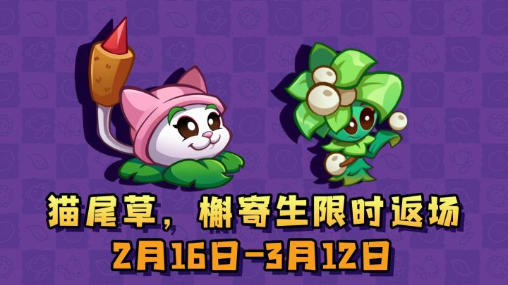 人气植物,猫尾草、槲寄生,限时返场截图