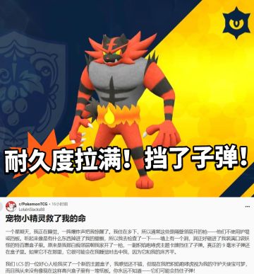 宝可梦：卡牌太硬 挡下子弹