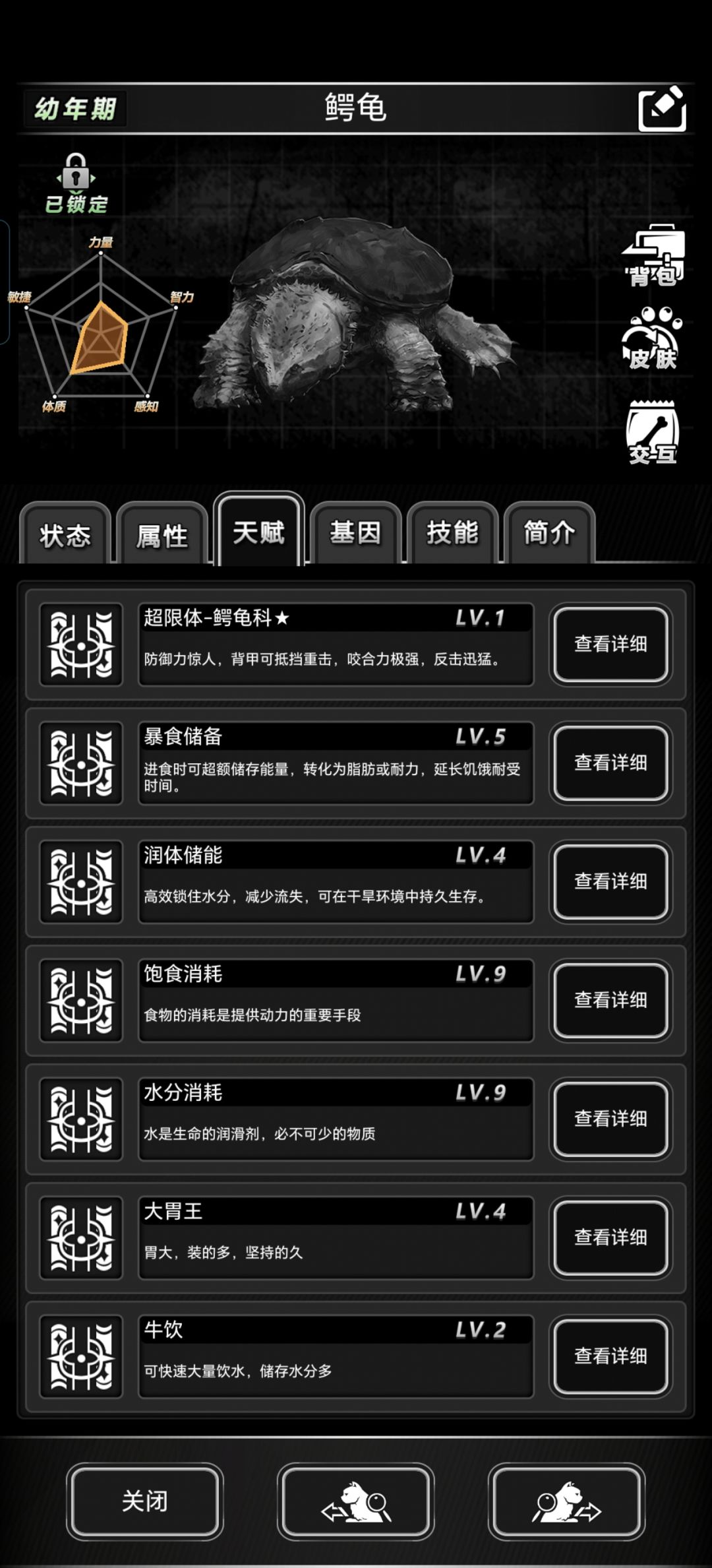 这只鳄龟天赋怎么样 2