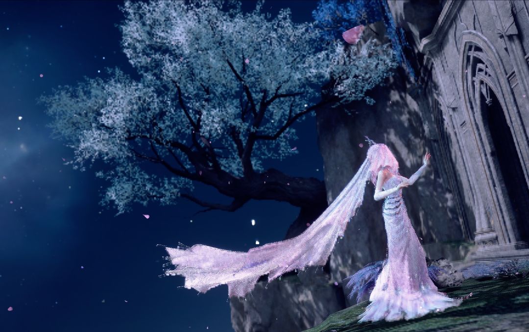 花骨套绝美 4