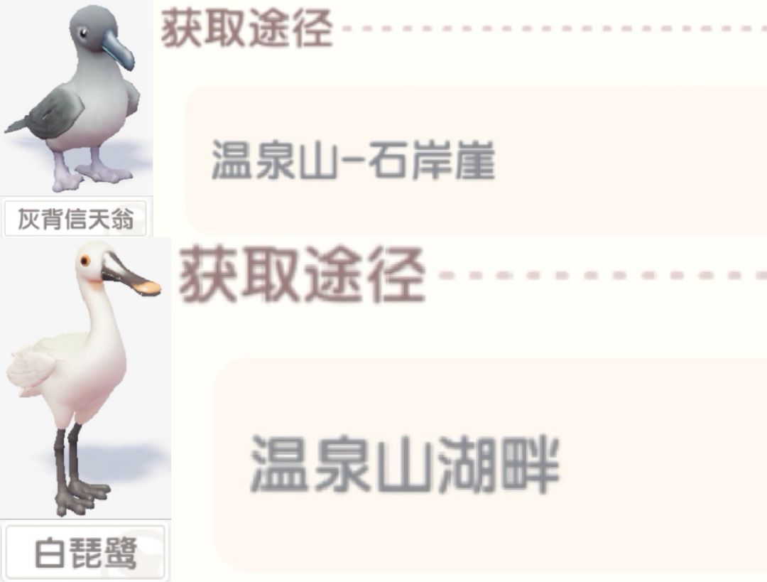 【心动小镇寻鲸季限定鸟类图鉴】 2
