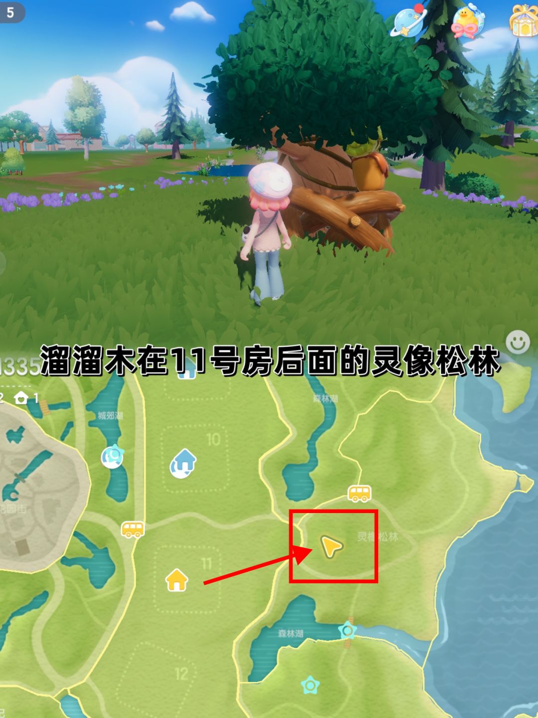 9.29溜溜木萤石位置小镇天气 3