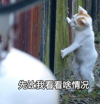 好大儿,真的帅啊 4