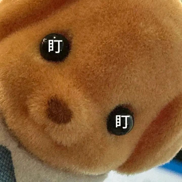 混9有群吗截图