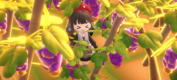 俺家终于丰收了