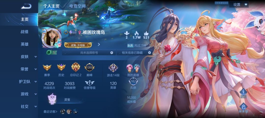 玫瑰到了花期 2