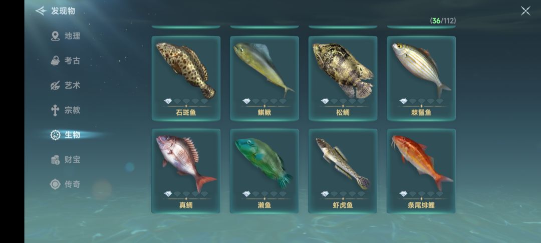 篝火测试阶段发现物 6