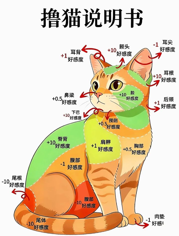 想撸猫捏截图
