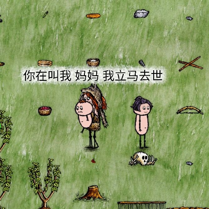 三年中收集到的一些印象深刻语言 5