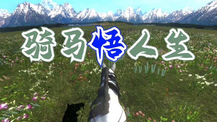 这你敢信？骑马游草原，居然悟出人生哲学！截图