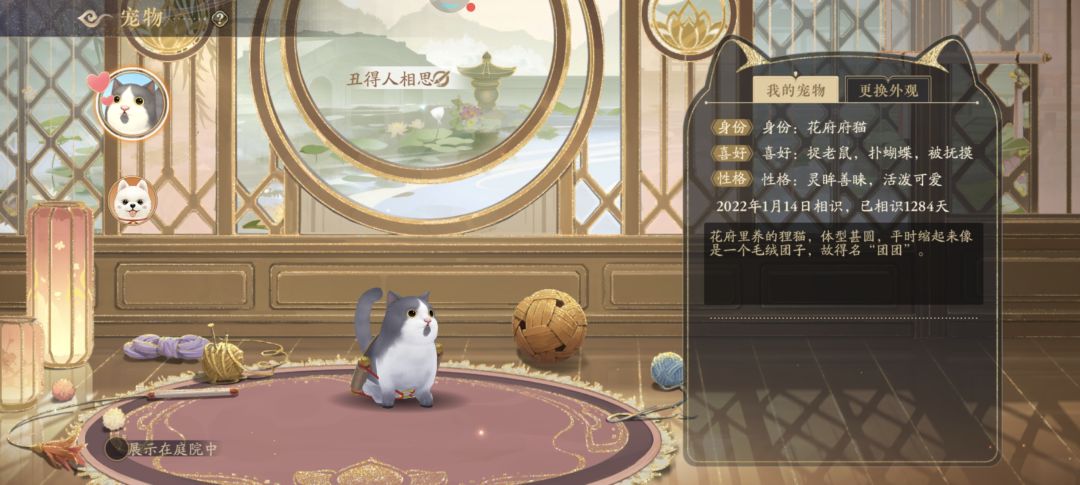 我不行了,这个猫是真的难看啊 1