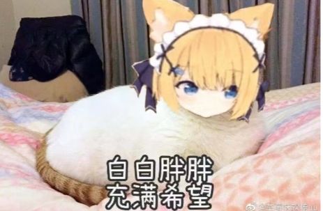 大佬萌截图