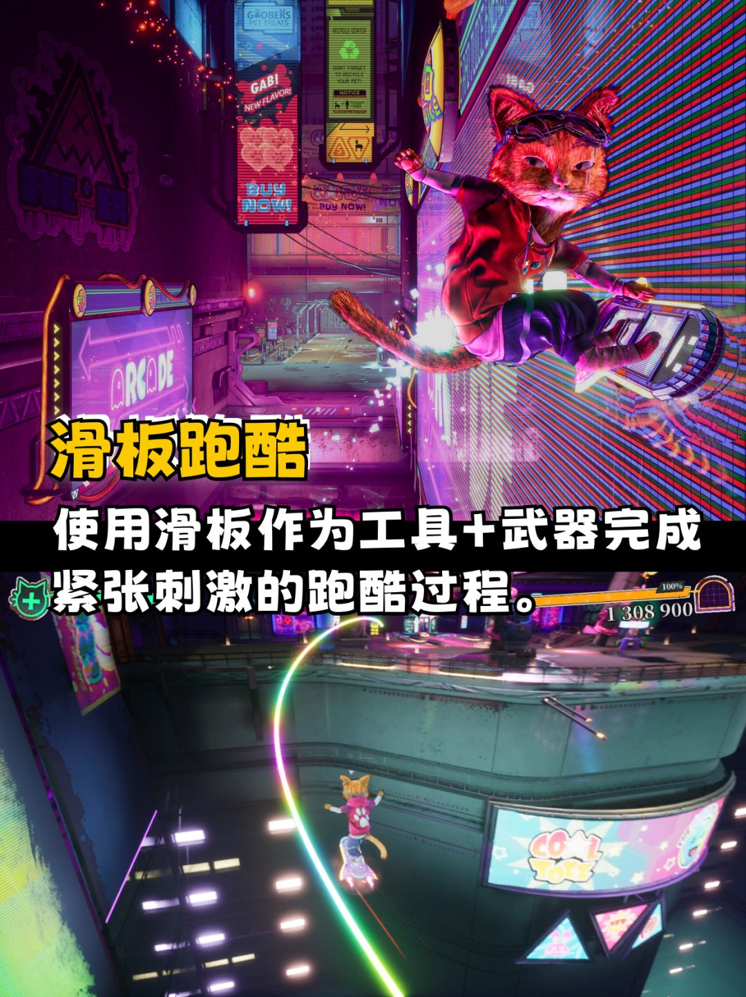 可爱又暴力的小猫咪,你会喜欢吗? 2