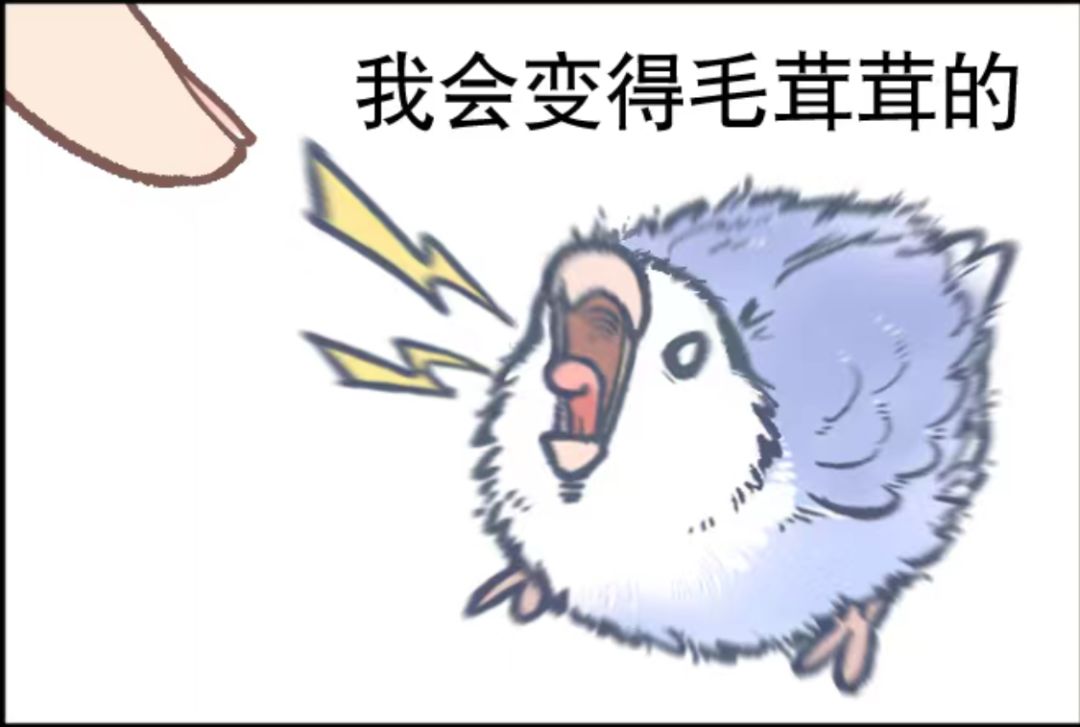 😯好漂亮的分数,截图纪念一下 4