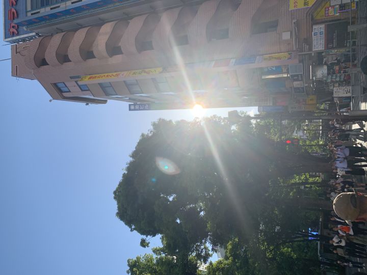 游戏还行 ,还原度很高,唯一不足的是没时间玩,damn,啥时候退休啊啊啊啊啊截图