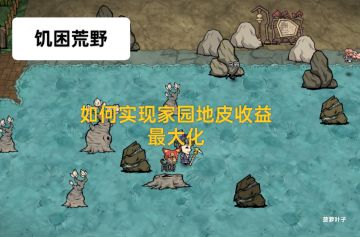 关于家园地皮产物的研究测试与结论