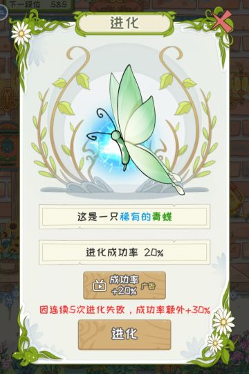 关于蝴蝶升星⭐