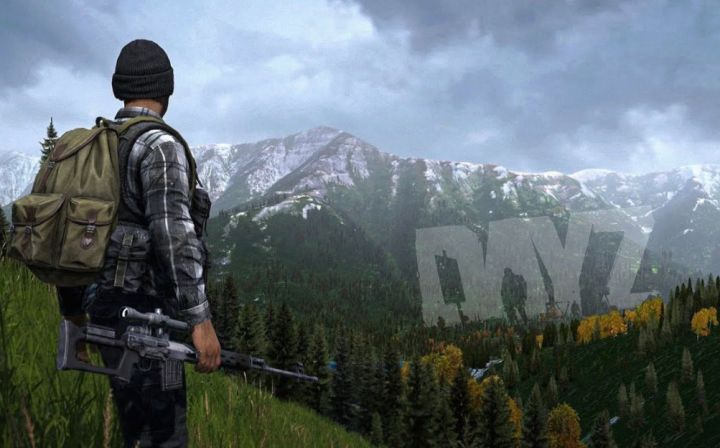 Steam游戏评测 No.945《DAYZ》截图