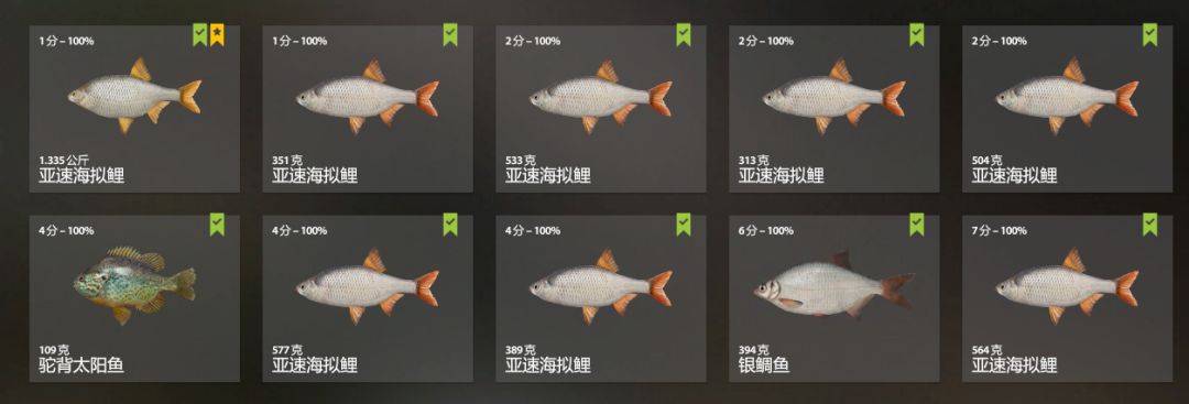 俄鱼手杆王来了 2