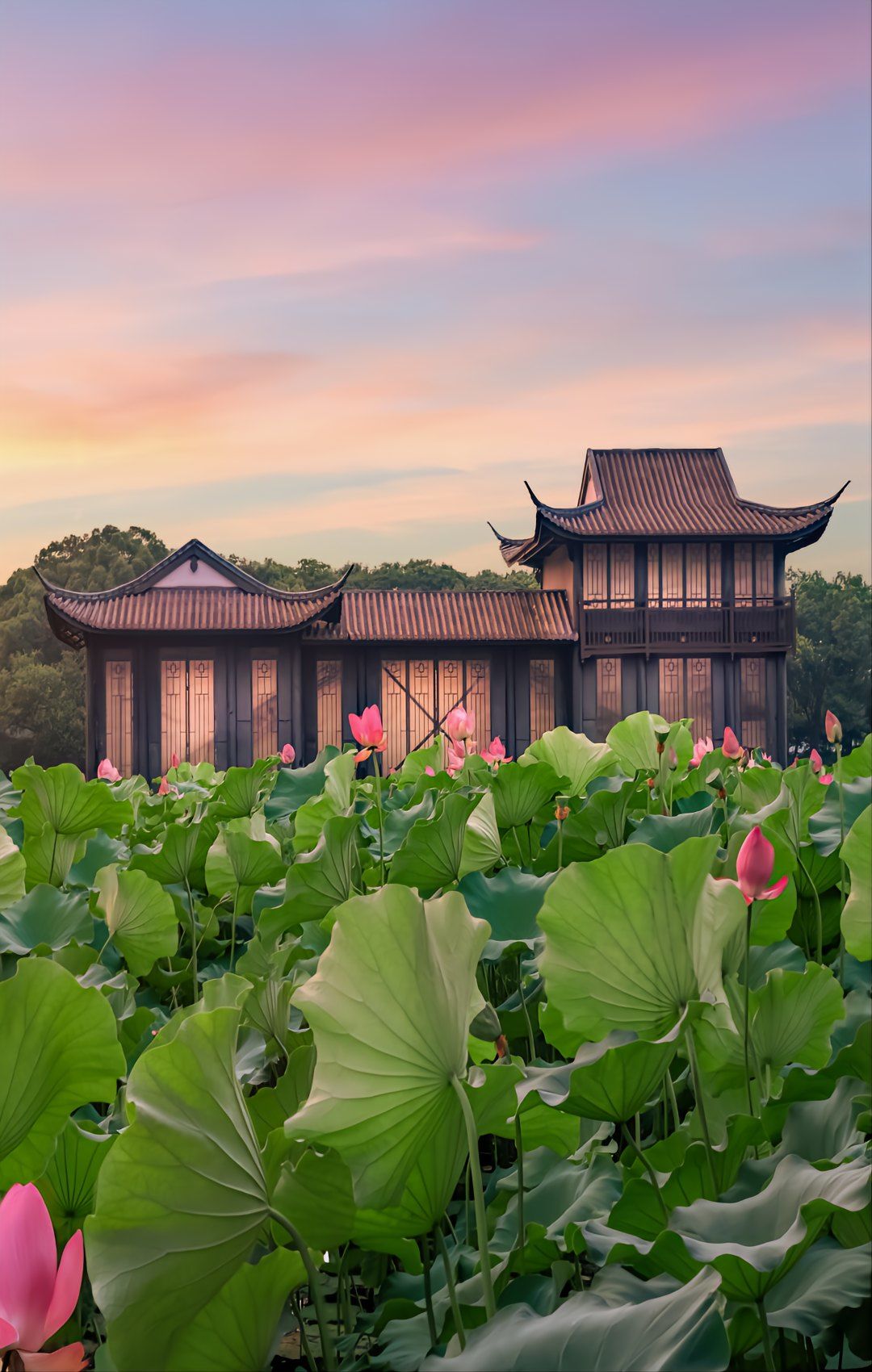 第二天 7