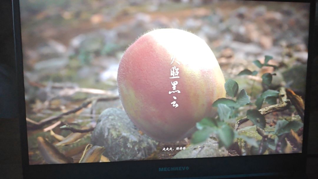 全款拿下黑吗喽,兄弟们有什么建议吗? 1