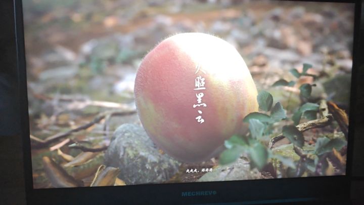 全款拿下黑吗喽,兄弟们有什么建议吗?截图