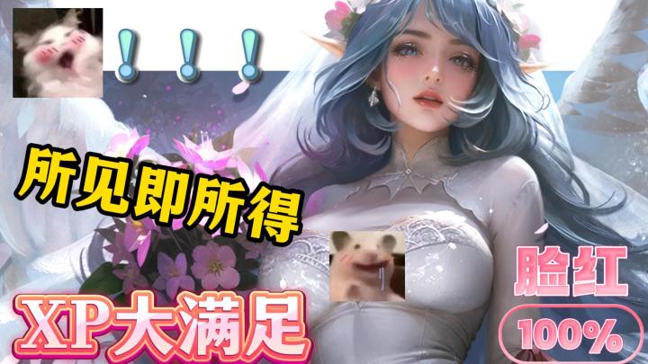 高颜值动态立绘，清凉大胆！大姐姐们武力值拉满！二周年福利领到手软！截图