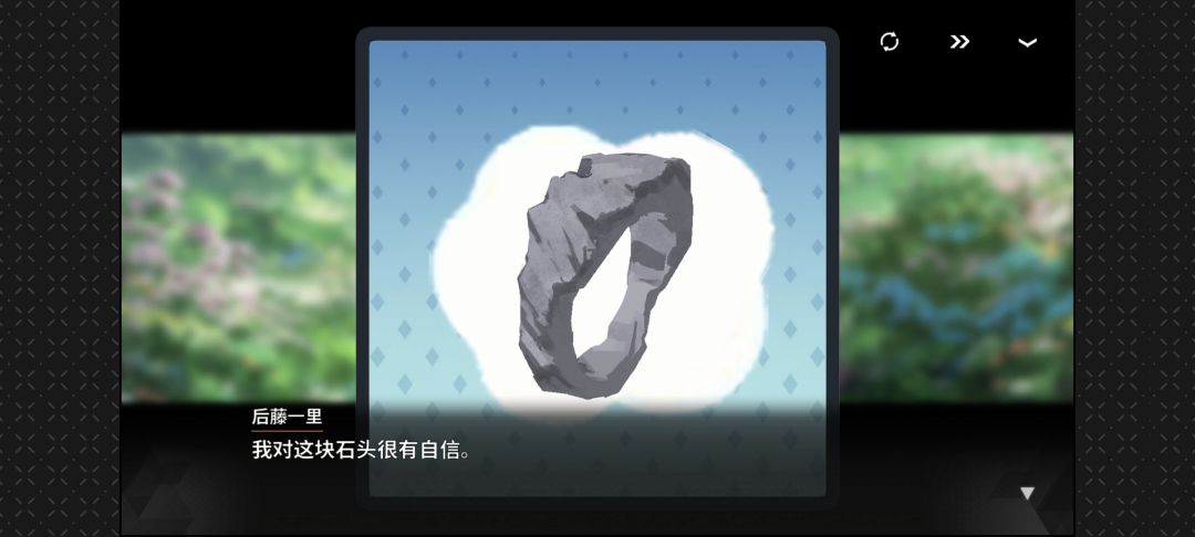 石头鉴赏大会 3