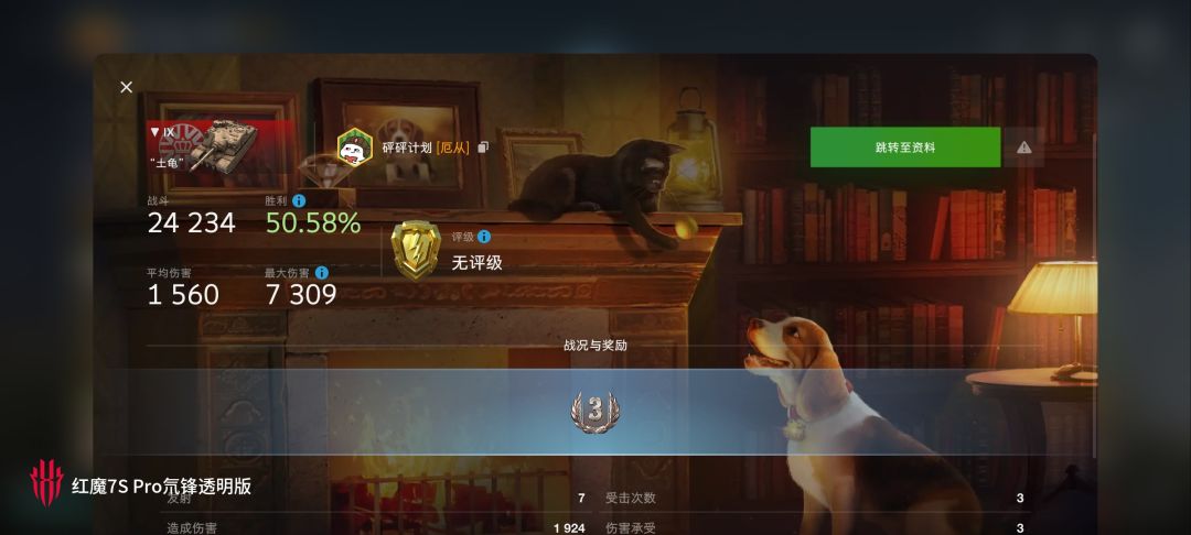 动态图片 13