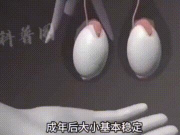 闪退截图