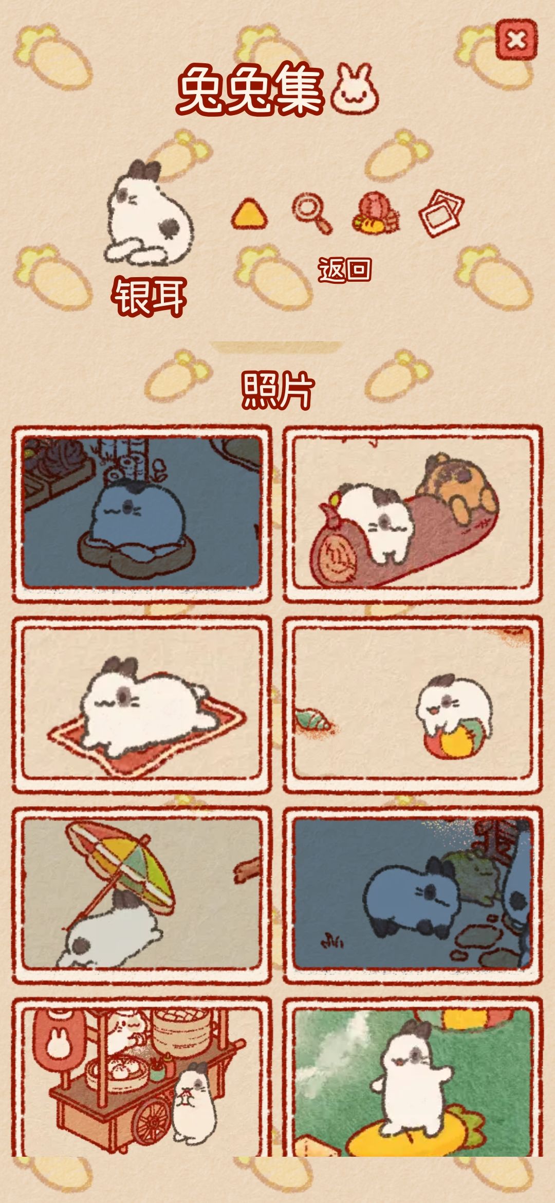 兔兔岛快更新 3