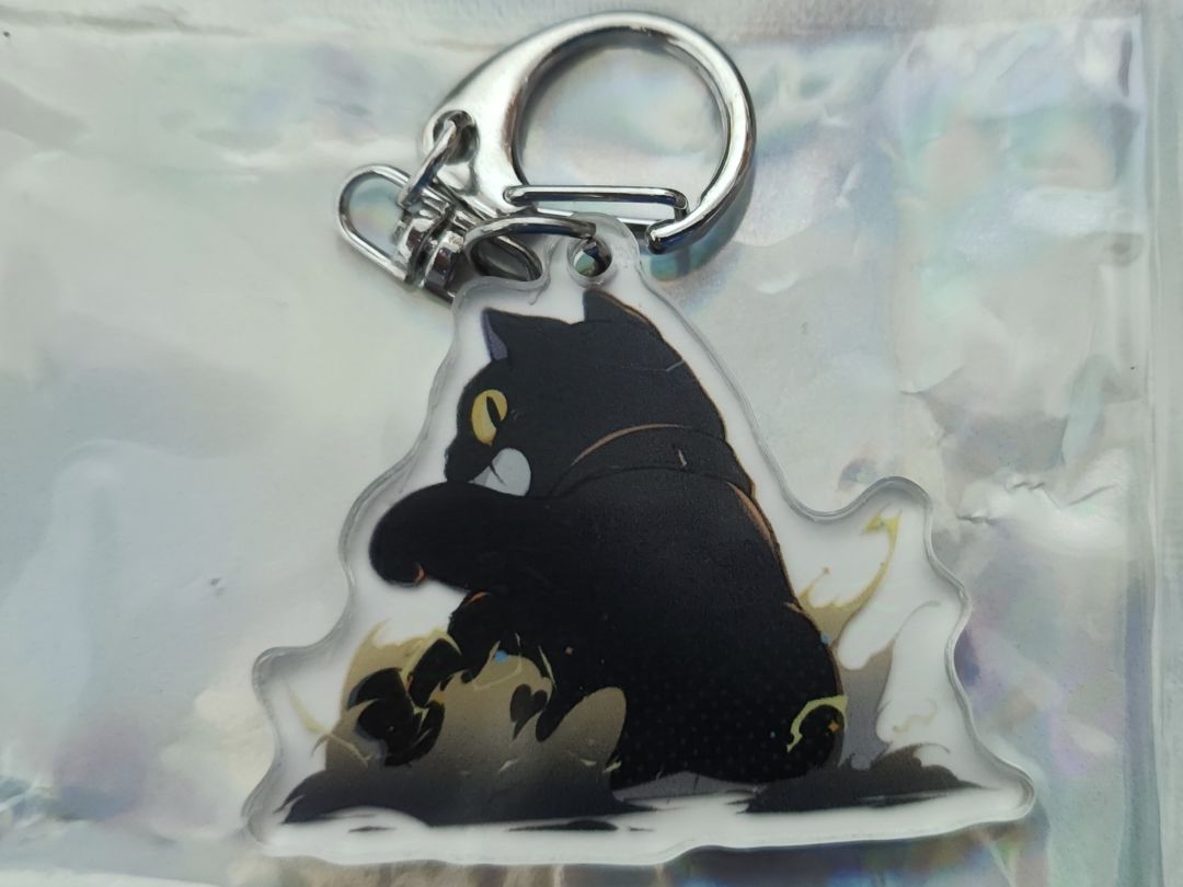 黑猫:来我请你吃我珍藏的黑老鼠干 1